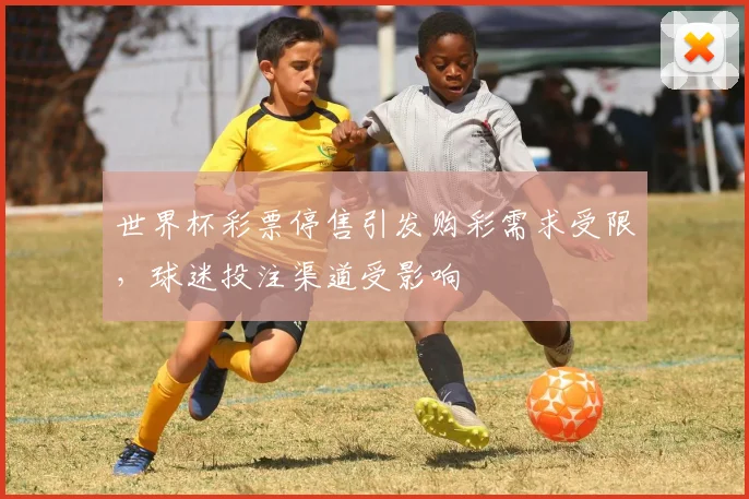世界杯彩票停售引发购彩需求受限，球迷投注渠道受影响