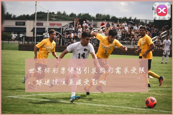 世界杯彩票停售引发购彩需求受限，球迷投注渠道受影响